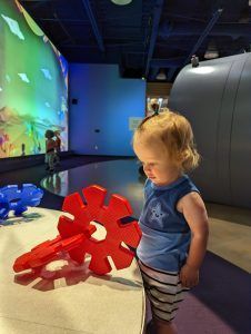 toddler looks at museum exhibit