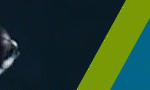 Moms banner