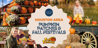 Houston area pumpkin patches and fall festivals with pumpkins in the background