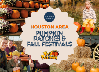 Houston area pumpkin patches and fall festivals with pumpkins in the background