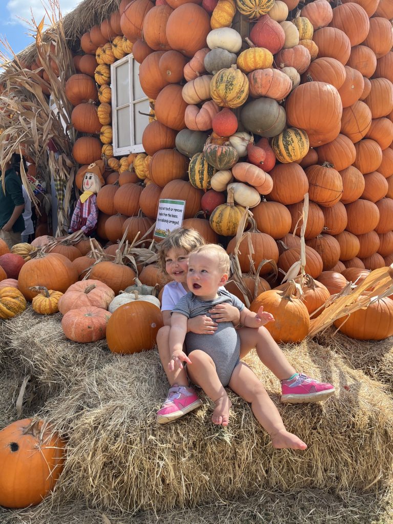 toddler and baby in pumpkin patch