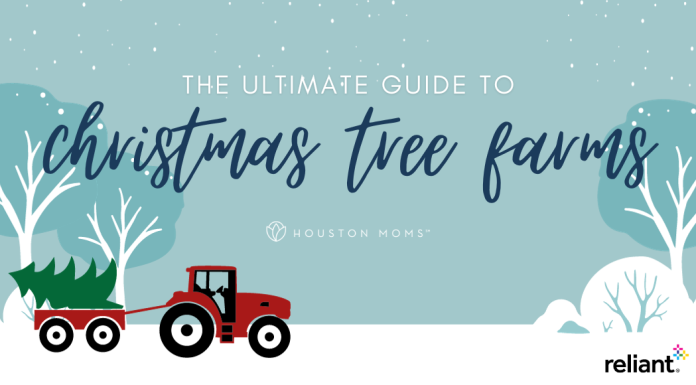 The Ultimate Guide to Christmas Tree Farms Around Houston from Houston Moms