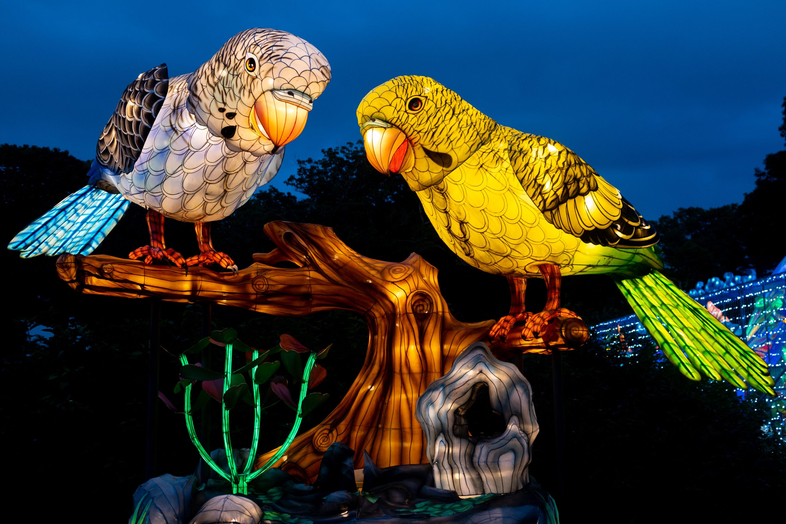 parakeet light installation at Houston Botanic Garden