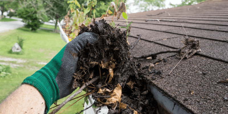 hand cleaning leaves out of gutters