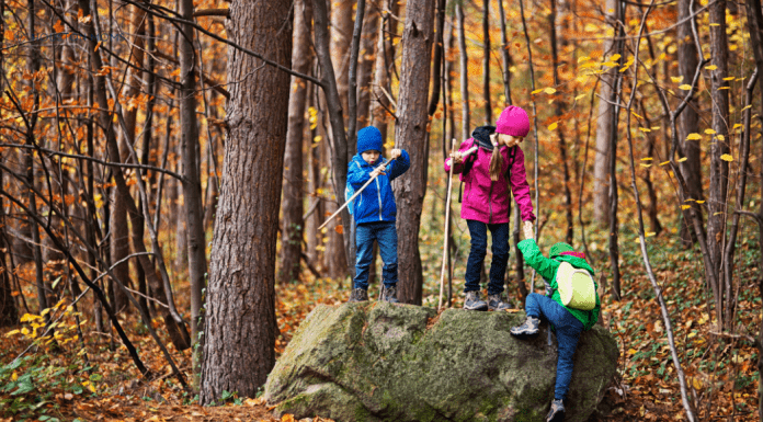 Go Touch Grass! Health Benefits to Getting Outside in Nature children in woods getting outside in nature