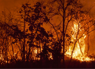 wildfire burning