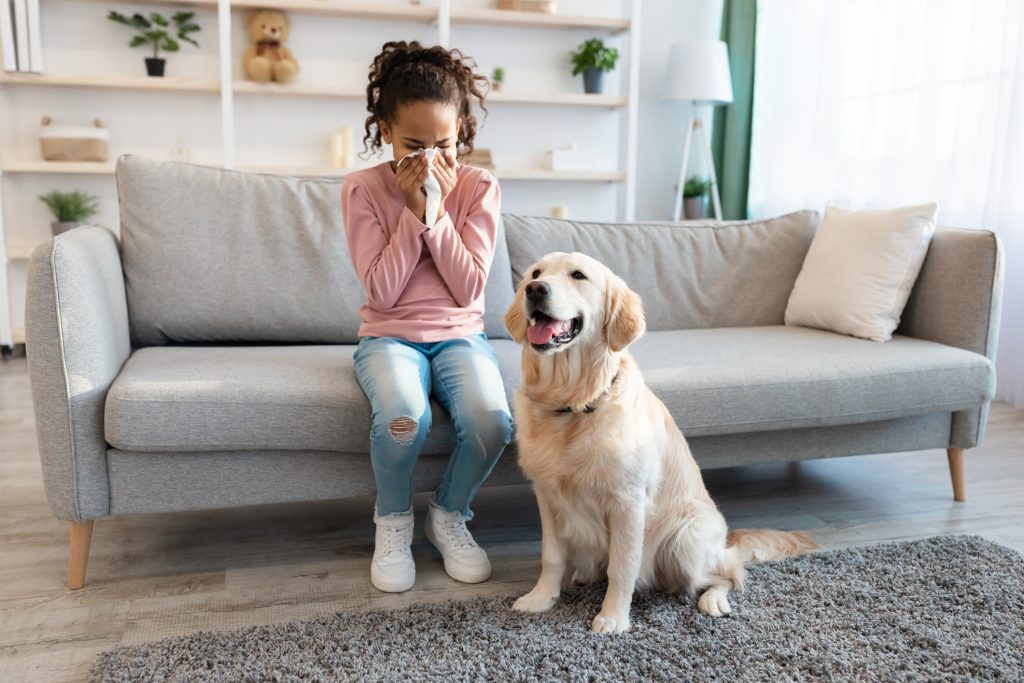 A child sneezing sitting next to a dog