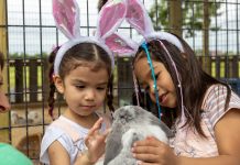 Two girls wearing bunny ears pet a real bunny