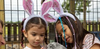 Two girls wearing bunny ears pet a real bunny