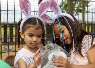 A Mom’s Guide to Spring Break in Houston Two girls wearing bunny ears pet a real bunny
