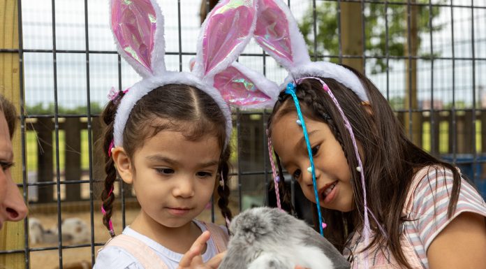 A Mom’s Guide to Spring Break in Houston Two girls wearing bunny ears pet a real bunny