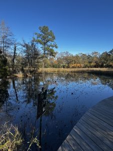 pond