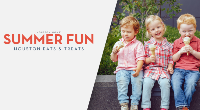 Houston Summer Eats & Treats Houston Eats and Treats