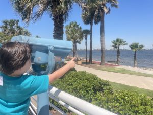 boy looking through binocular station at water in the bay. There are palm trees in the background