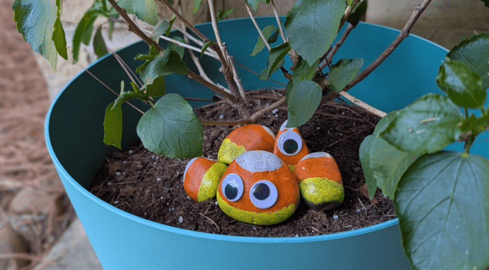 5 Simple Fall Crafts for Kids and Adults rocks painted like candy corn with googly eyes sit in pot