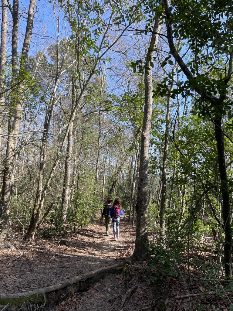 children walk through a shady path of trees