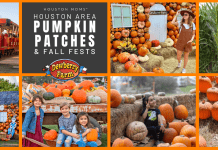 Pumpkin patch graphic with Dewberry Farm
