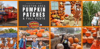 Pumpkin patch graphic with Dewberry Farm