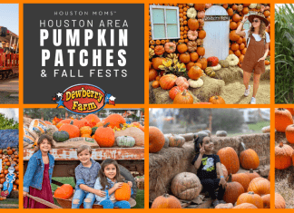 Houston Area Guide to Pumpkin Patches and Fall Festivals Pumpkin patch graphic with Dewberry Farm