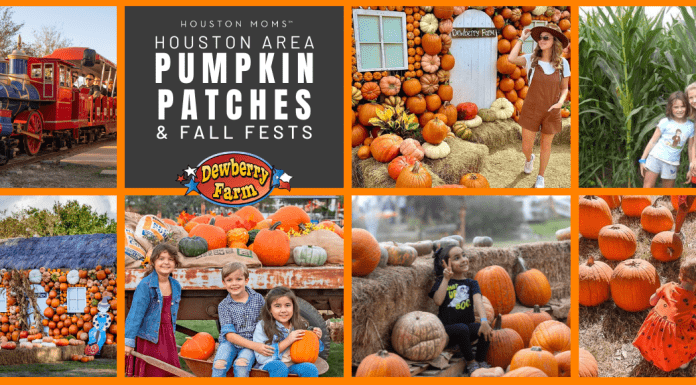 Houston Area Guide to Pumpkin Patches and Fall Festivals Pumpkin patch graphic with Dewberry Farm