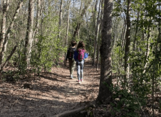Shady Spaces: Places to Get Outside in the Hot Houston Fall Children walking down path shaded by trees