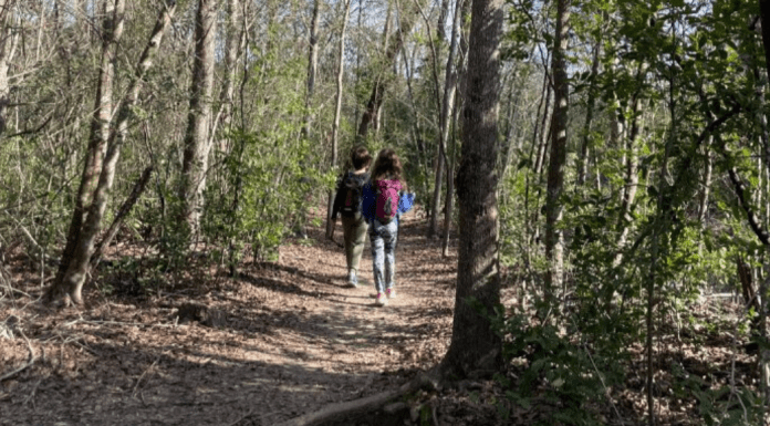 Shady Spaces: Places to Get Outside in the Hot Houston Fall Children walking down path shaded by trees