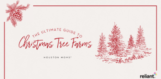 The Best Houston Area Christmas Tree Farms tree farms