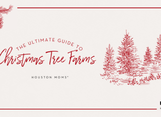 The Best Houston Area Christmas Tree Farms tree farms