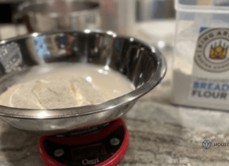 Essential Kitchen Gadgets to Simplify Your Thanksgiving Meal Prep