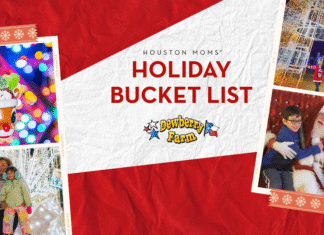 The Ultimate Houston Holiday Bucket List holiday bucket list graphic with Dewberry farm