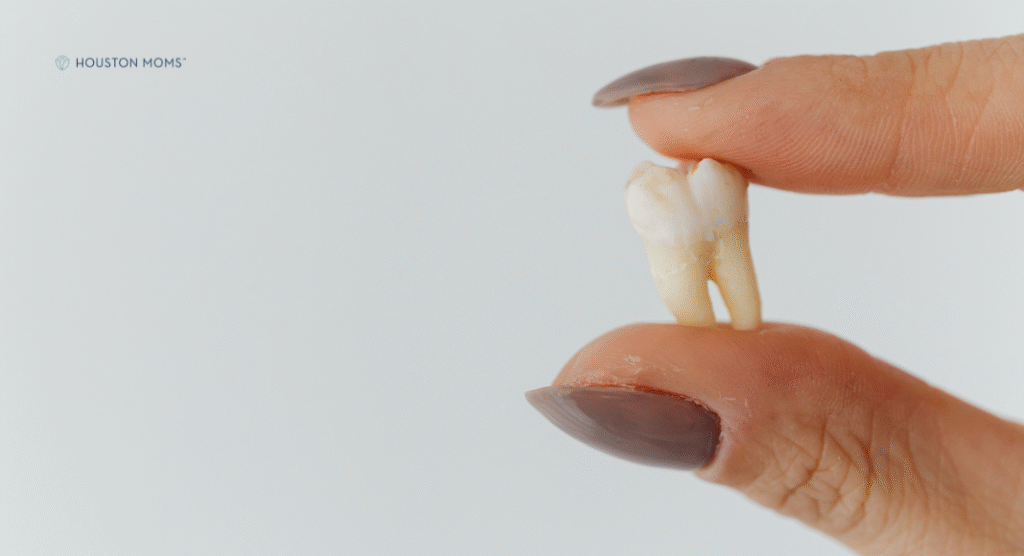 fingers holding tooth