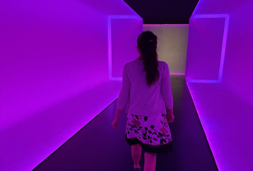 Museum of Fine Arts, Houston