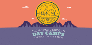 day camps graphic