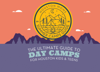 day camps graphic