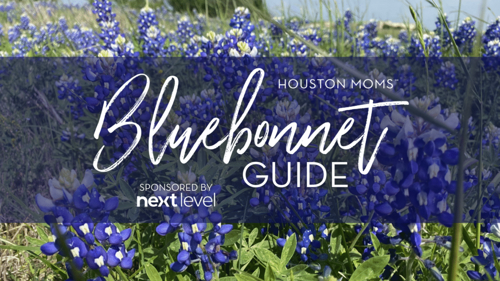 Houston Moms Bluebonnet Guide