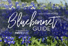 Houston Moms Bluebonnet Guide