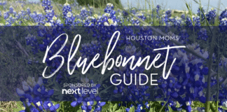 Top Greater Houston Area Bluebonnet Sightings Houston Moms Bluebonnet Guide
