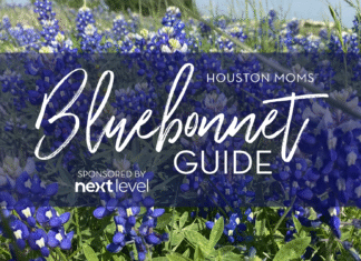 Top Greater Houston Area Bluebonnet Sightings Houston Moms Bluebonnet Guide