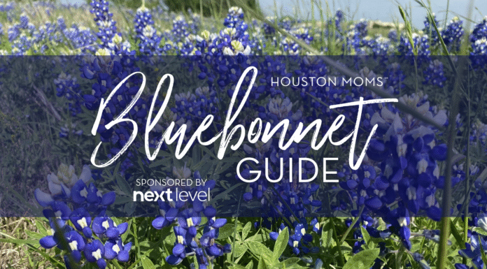 Top Greater Houston Area Bluebonnet Sightings Houston Moms Bluebonnet Guide