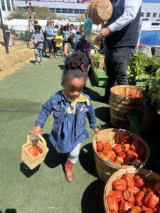 child collecting produce at rodeo