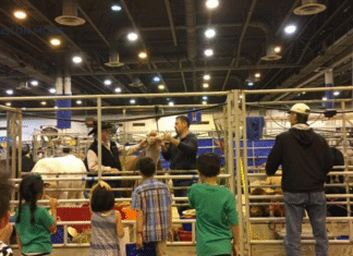 The Houston Mom’s Guide to Rodeo Season with Little Kids Kids at HLSR