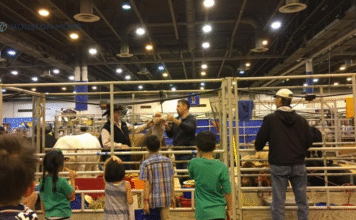 Kids at HLSR