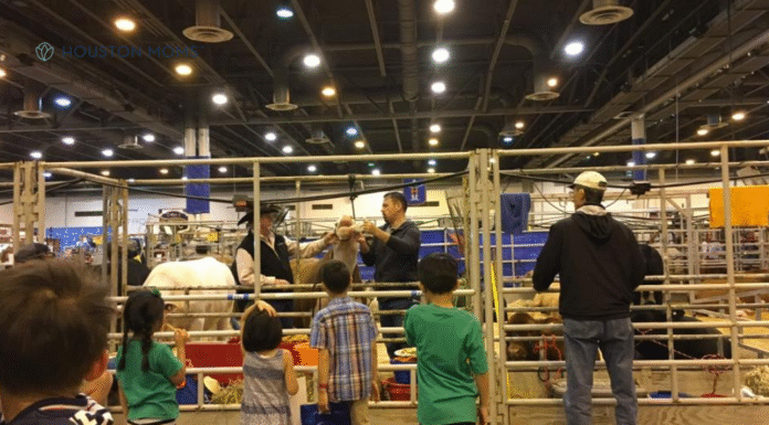 The Houston Mom’s Guide to Rodeo Season with Little Kids Kids at HLSR