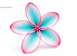 turquoise flower with pink outline