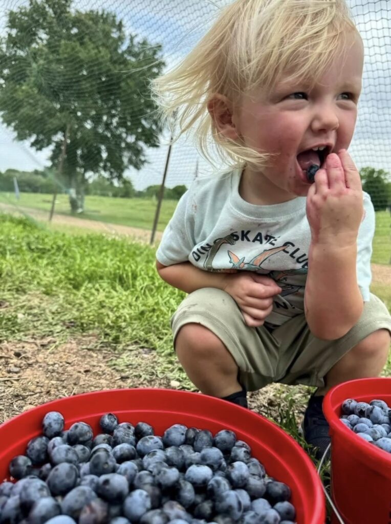 young boy kneels next to buckets of blueberries as he puts some in his mouth