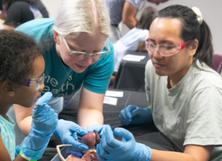 Dissection lab at The Health Museum