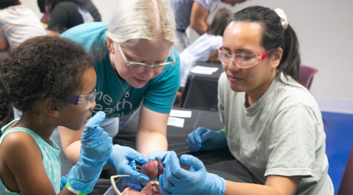 Summer Fun at The Health Museum Dissection lab at The Health Museum