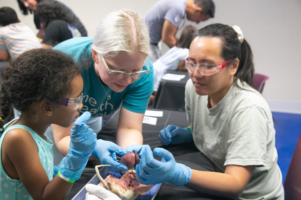 Doc Dissection at The Health Museum