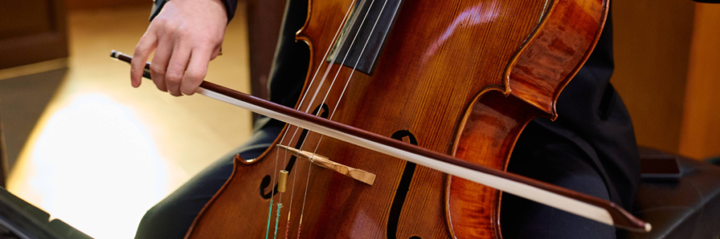 Stock image of a cellist
